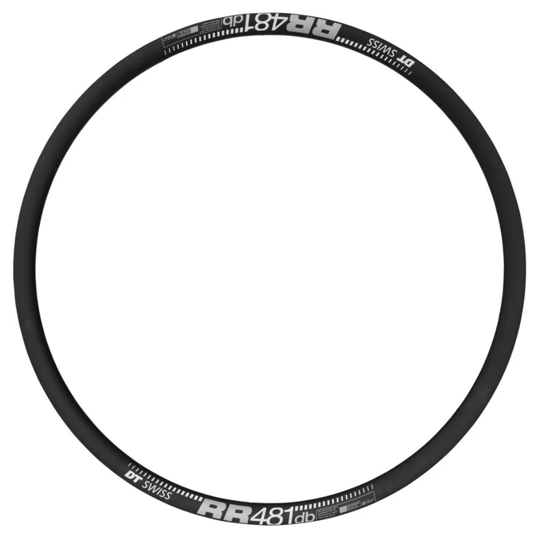 DT Swiss RR 481 Disc Rim