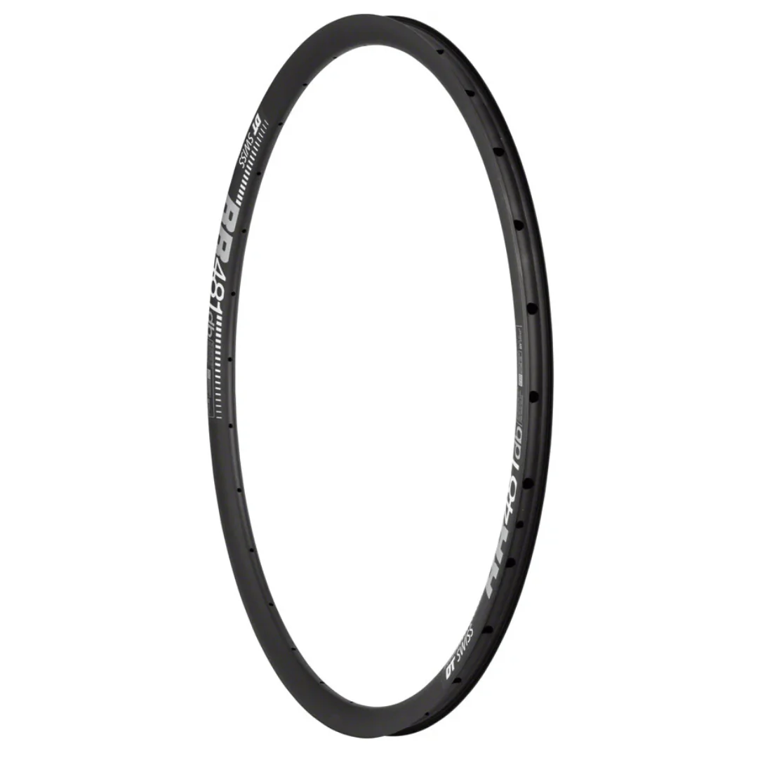 DT Swiss RR 481 Disc Rim - Image 2