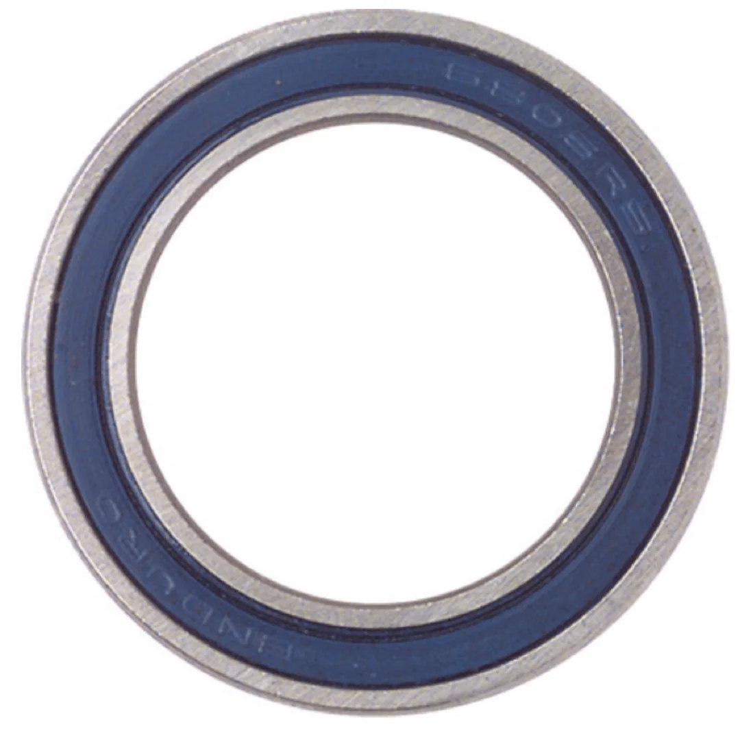 Enduro 6003 Bearing
